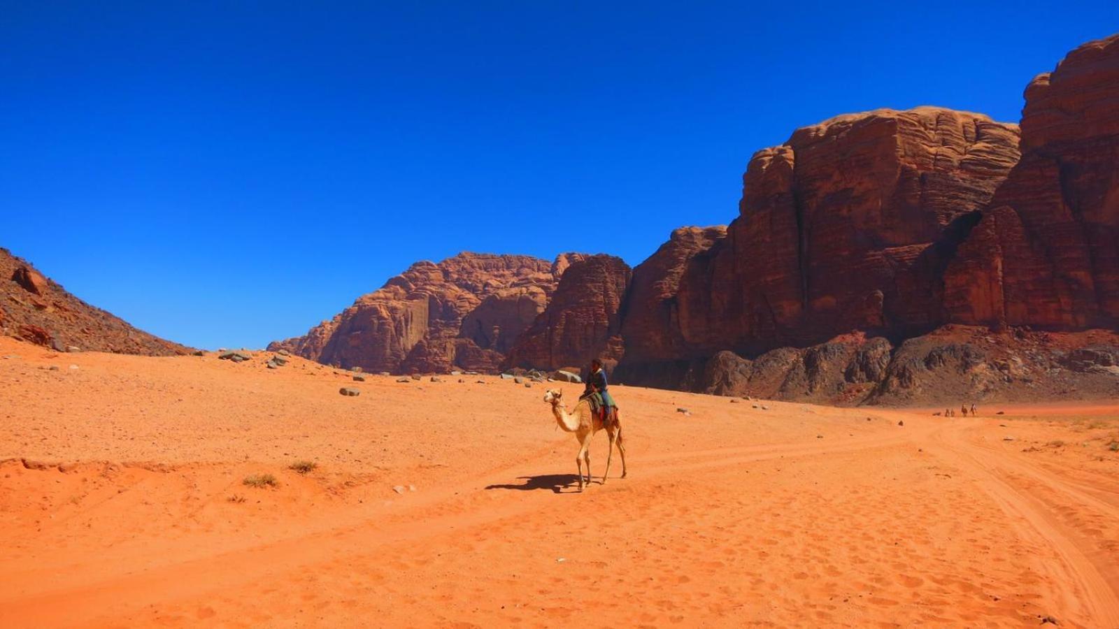Wadi Rum Magic Nature Camp 외부 사진