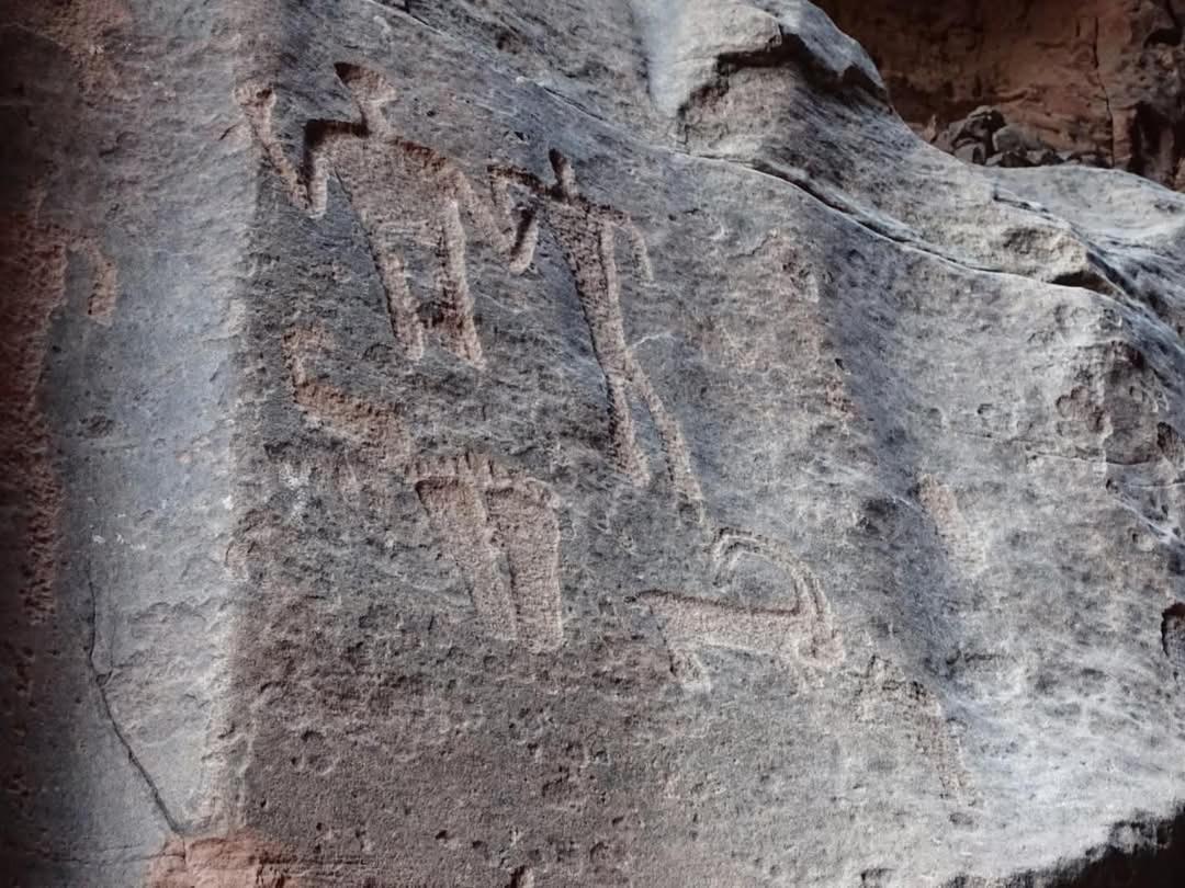 Wadi Rum Magic Nature Camp 외부 사진