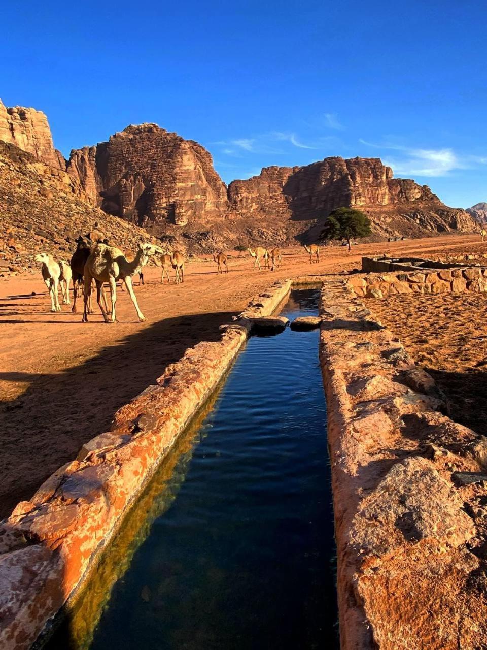 Wadi Rum Magic Nature Camp 외부 사진